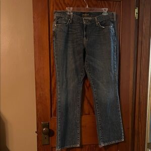 Old Navy Classic Blue Denim Jeans